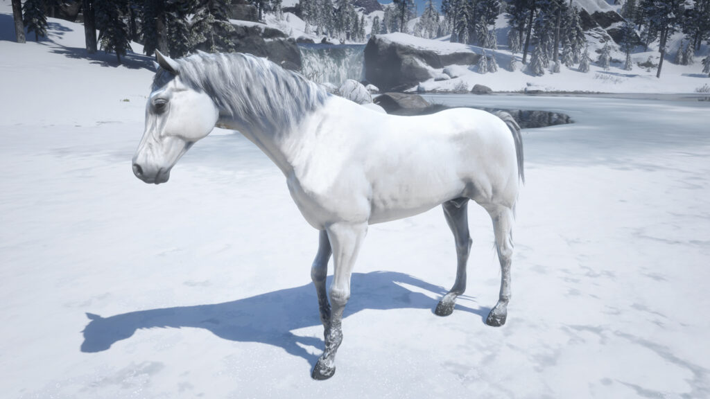 ⭐︎幻のWHITE HORSE⭐︎ Top 5 Best & Rare Horses You Should Have In Red Dead Redemption 2