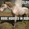 Get These Rare Horses ASAP in Red Dead Redemption 2