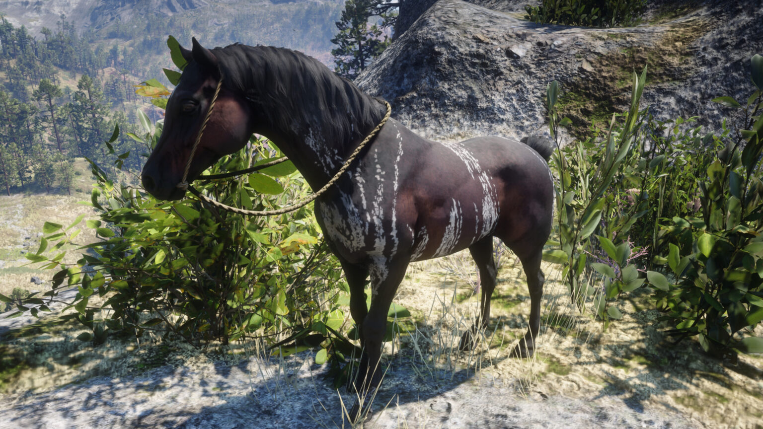 Top 5 Best & Rare Horses You Should Have In Red Dead Redemption 2 (With ...